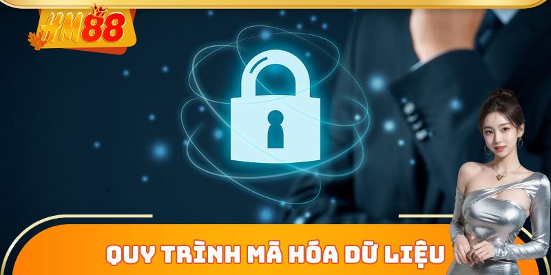 Quy trình mã hóa dữ liệu